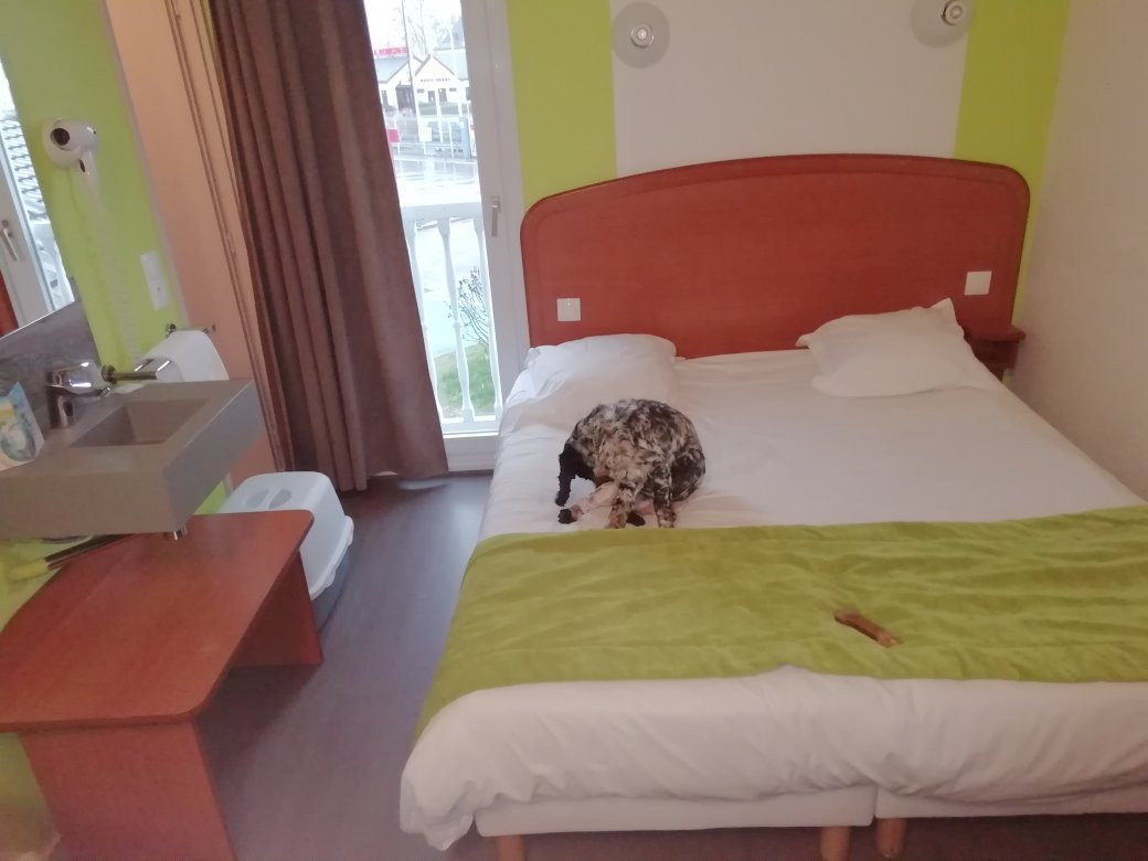 B Hotel Troyes Aéroport主图