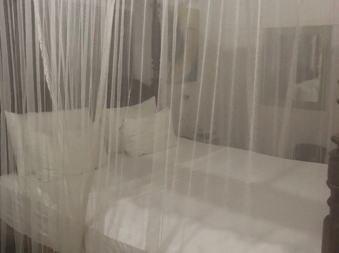 Six Degrees North主图