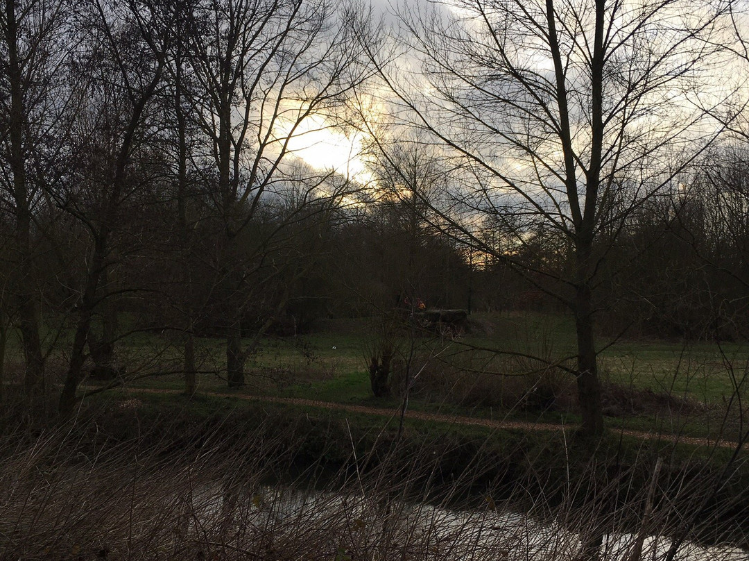 Needham Lake景点图片