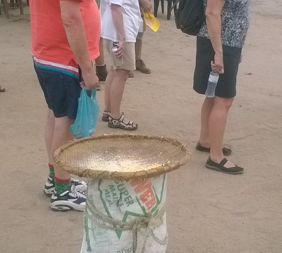 Nhlalala Travel景点图片
