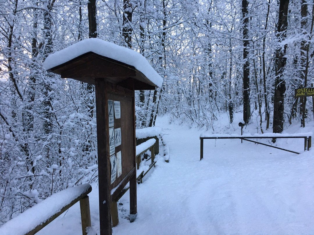 Parco Naturale di Rocchetta Tanaro景点图片