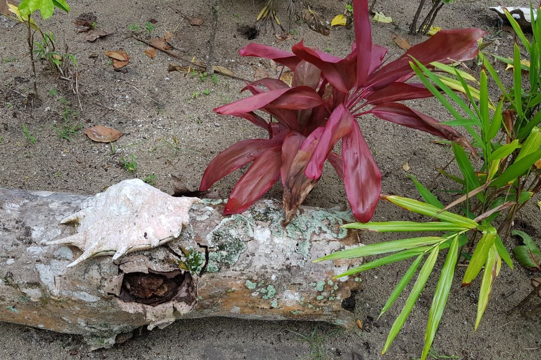 托伯岛度假酒店主图