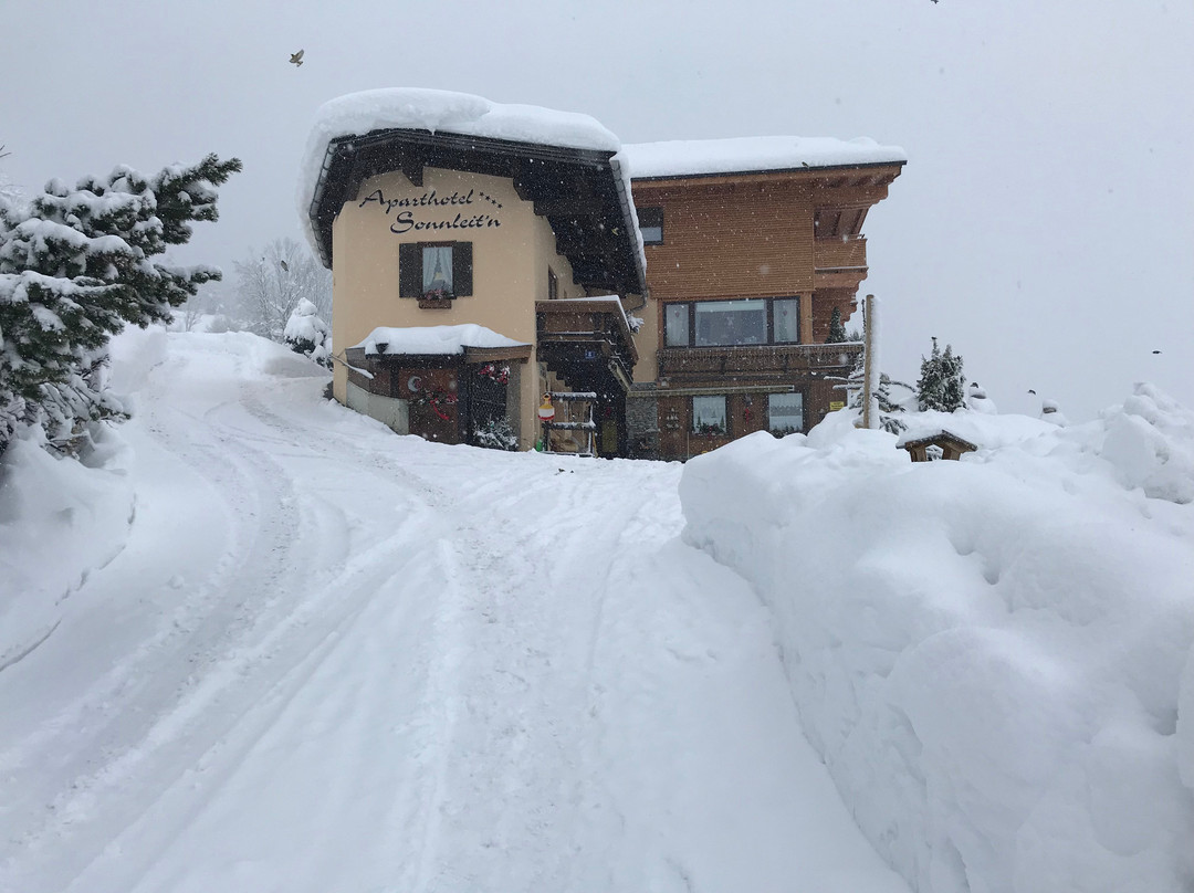 Aparthotel Sonnleitn主图