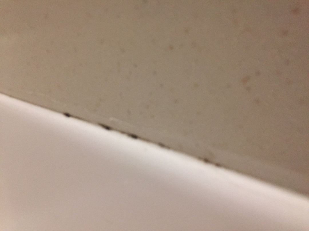 Comfort Inn & Suites主图