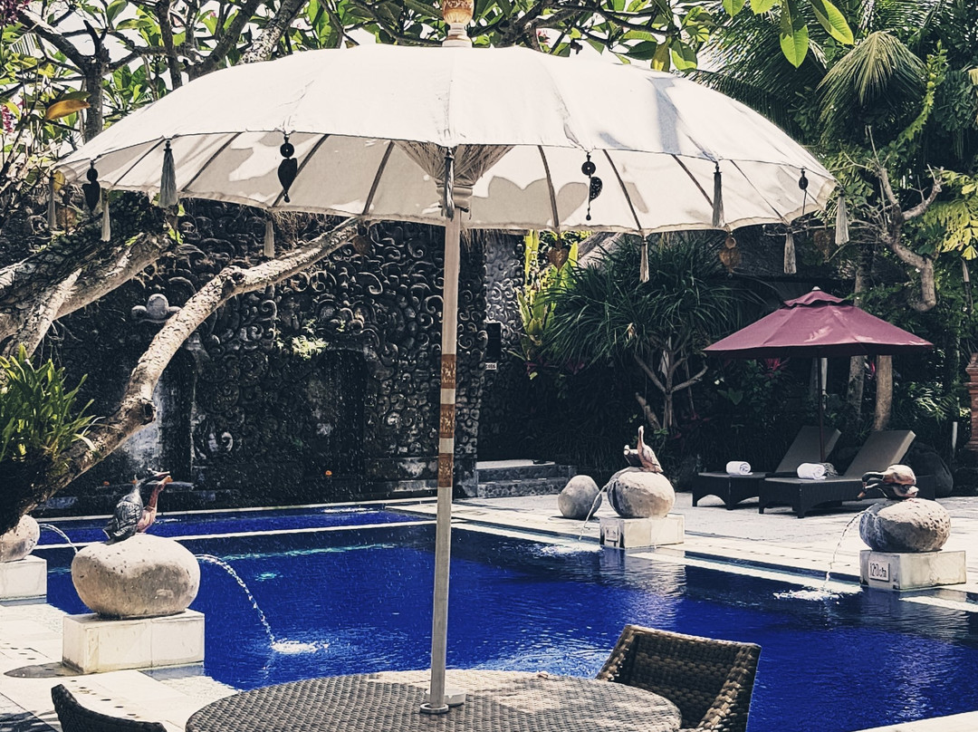 湿地边缘温泉别墅酒店主图