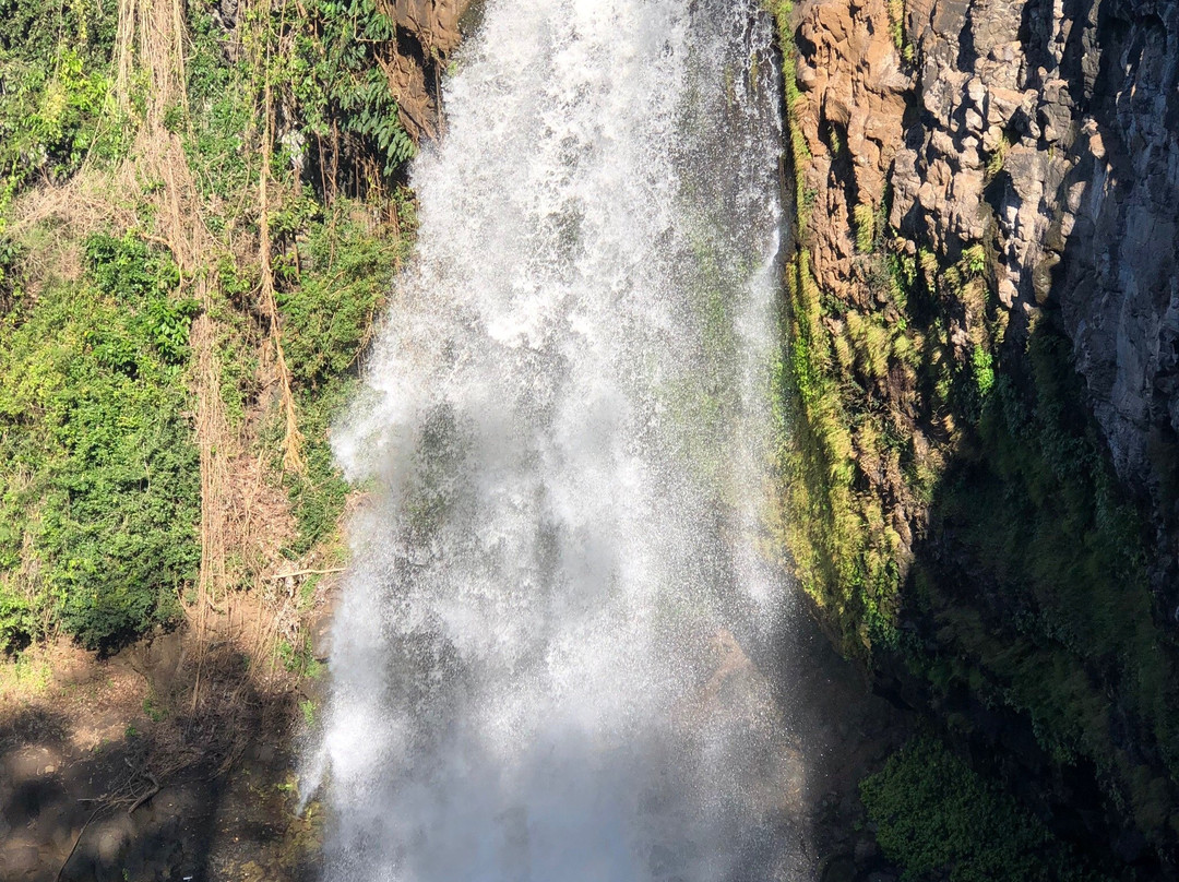 Bousra Waterfall景点图片