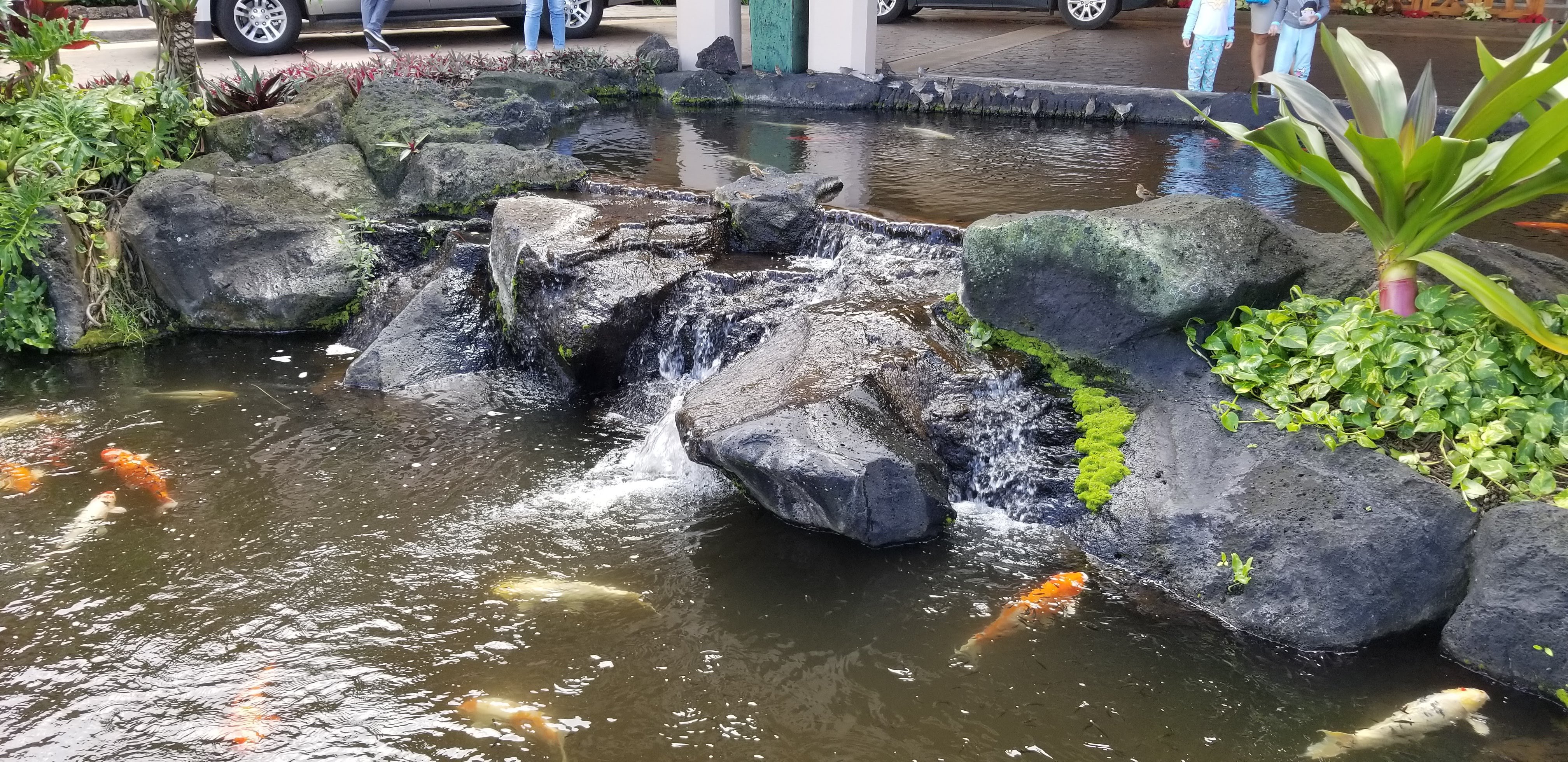 威尔哈伊海滩俱乐部万豪酒店-浴室