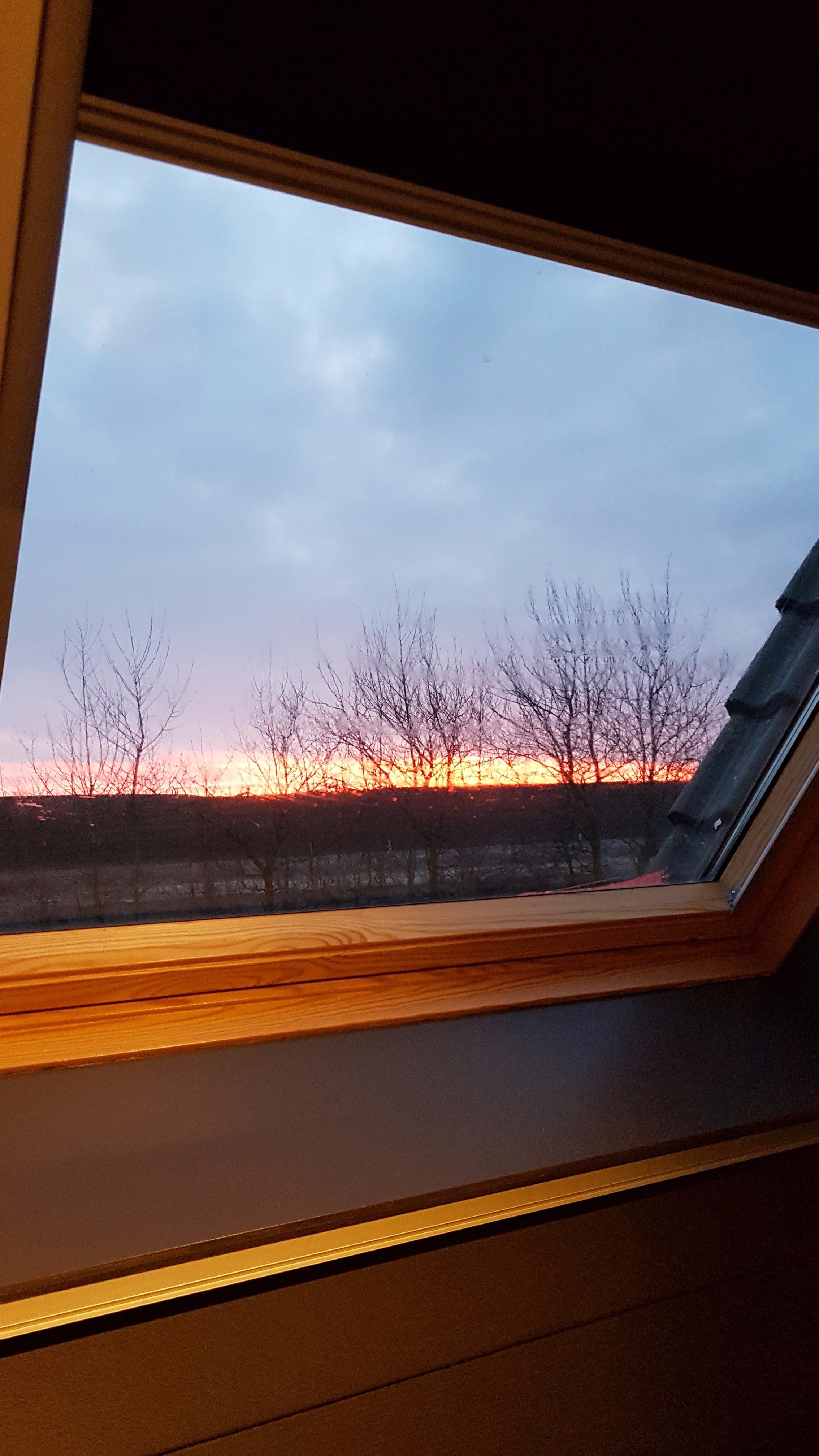 Hotel Prins Hendrik Texel-酒店景观