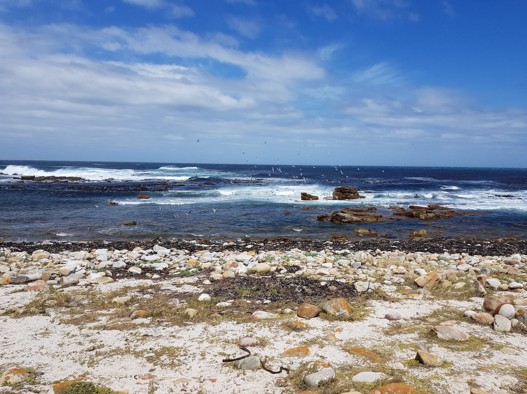 African Invite-斯泰伦博斯必去景点