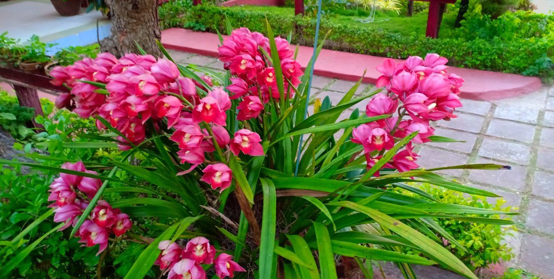 Hill Top Villa Hotel Kalaw主图