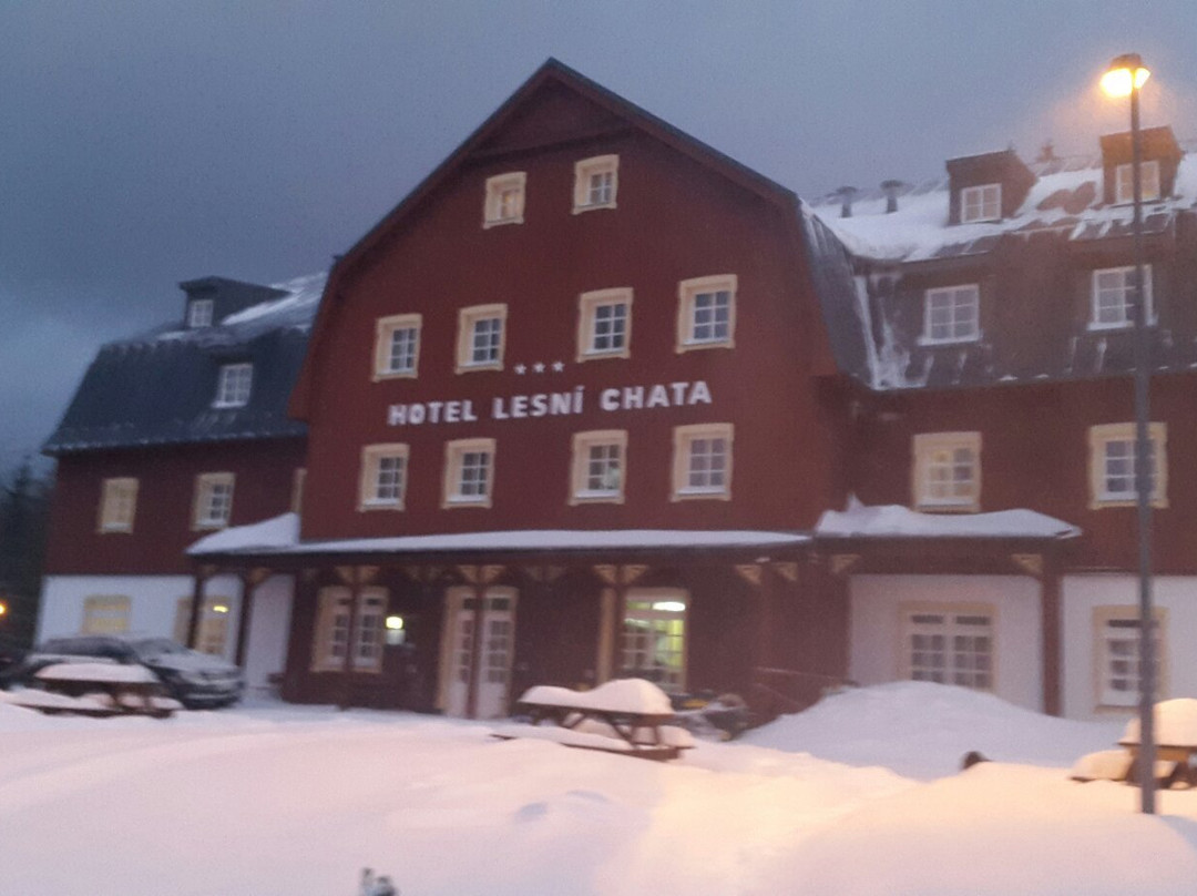 Hotel Lesní chata主图