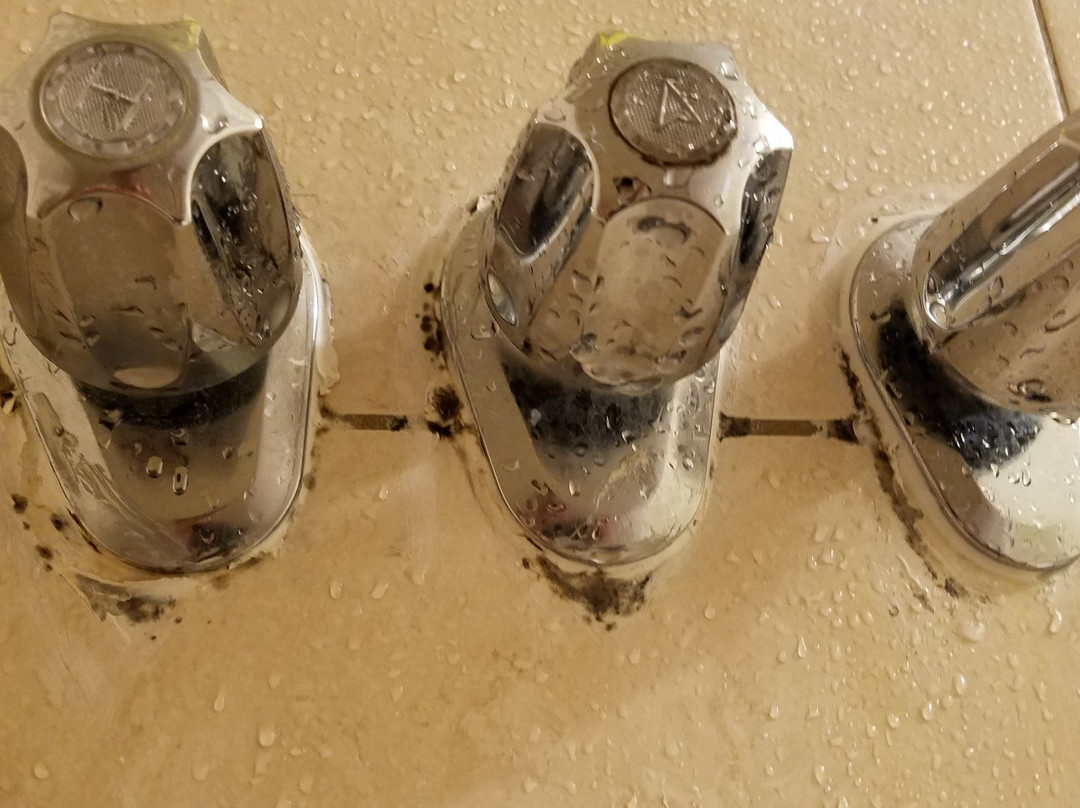 卡阿纳帕利海洋酒店主图