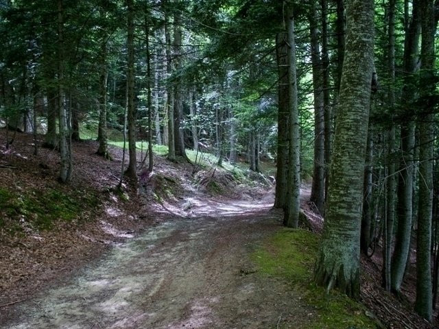 Bosco della Martese-Valle Castellana必去景点