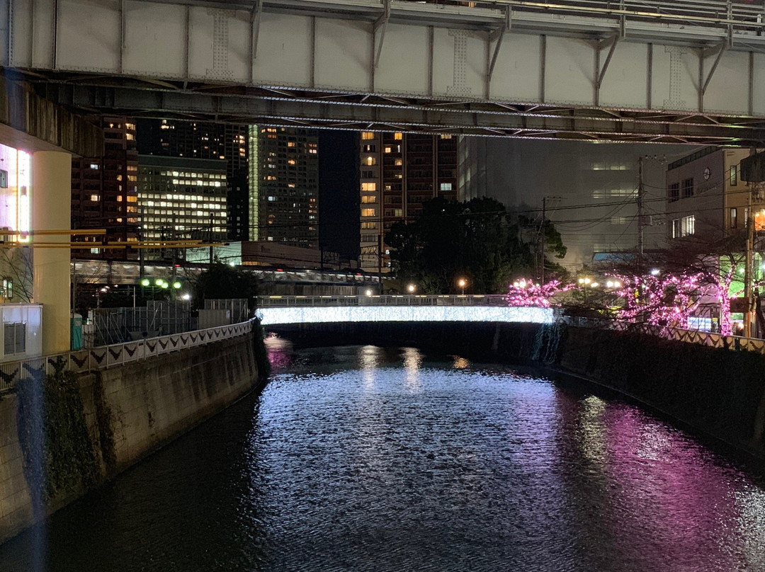 megurogawa MINNA no ILLUMI-品川区必去景点