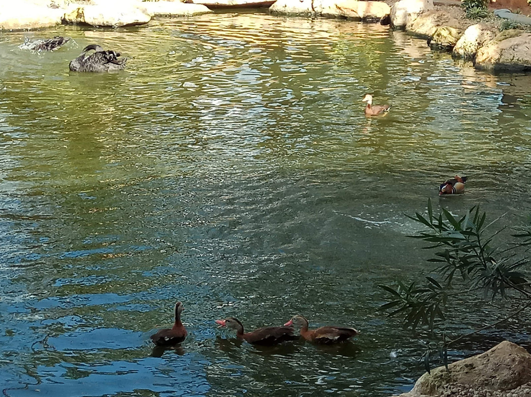 Parque Acuatico Baxal Ja-梅里达必去景点