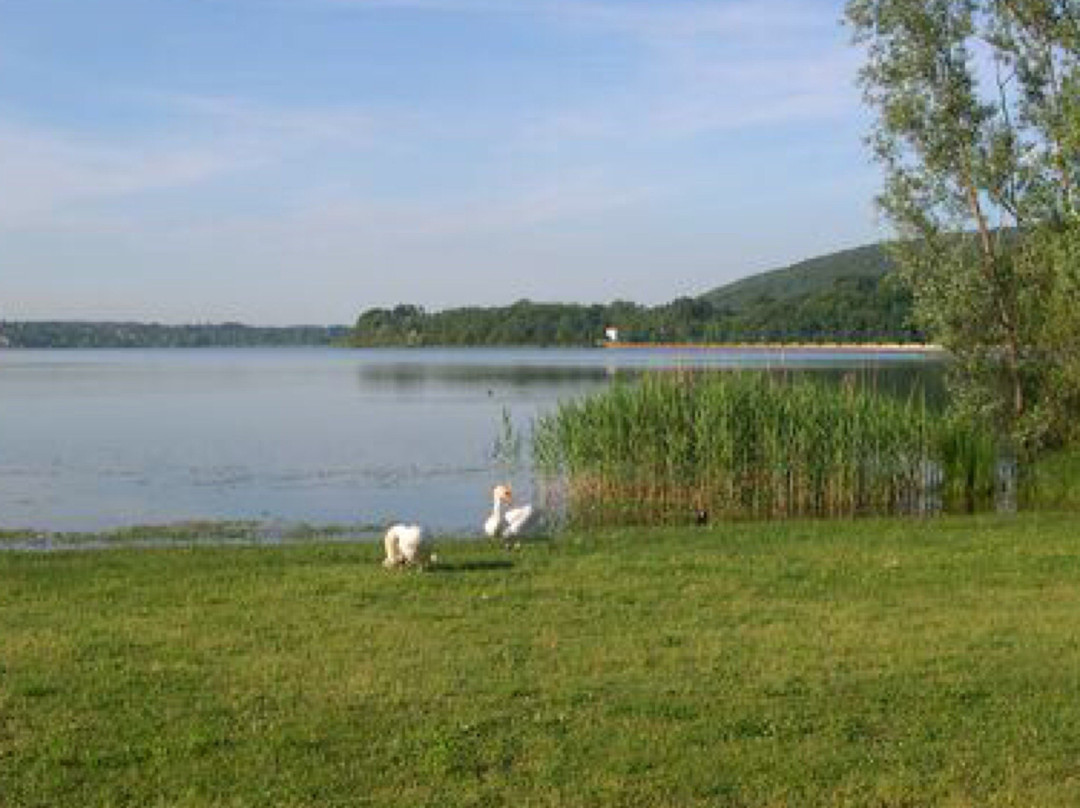 pista ciclabile lago di Comabbio景点图片