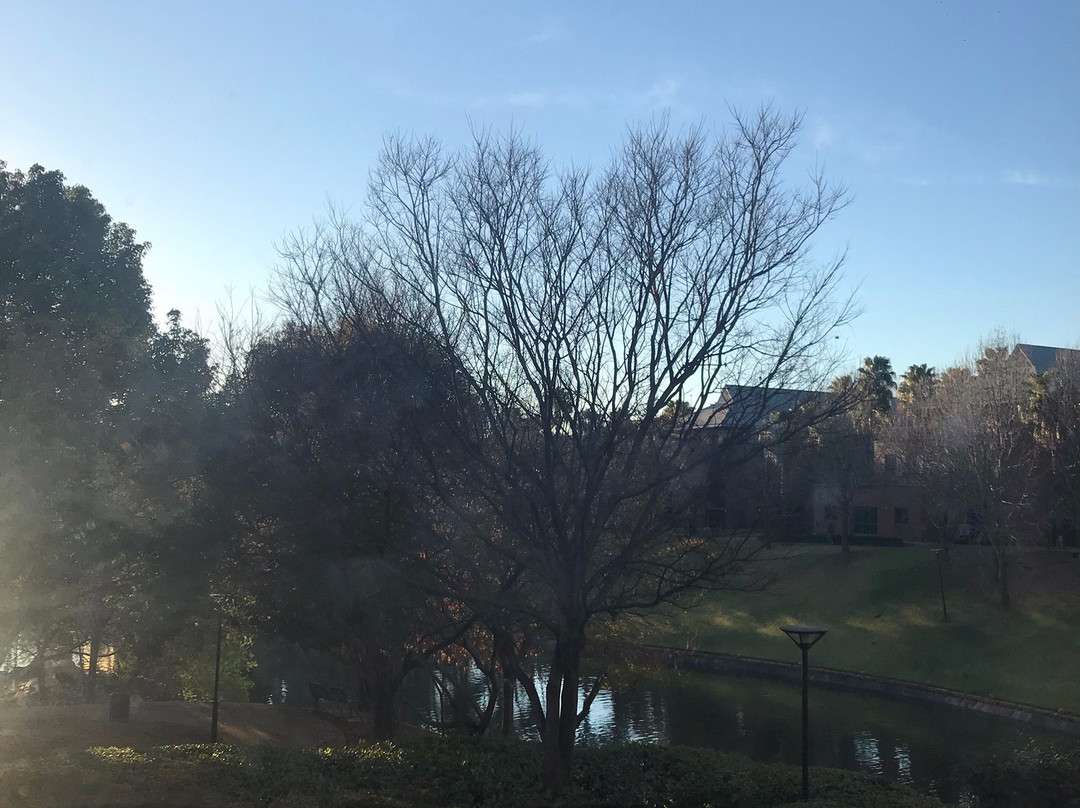 ANEW Hotel Roodepoort Johannesburg主图