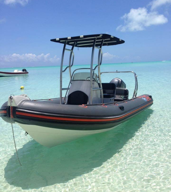 Private Boat-普纳奥亚必去景点