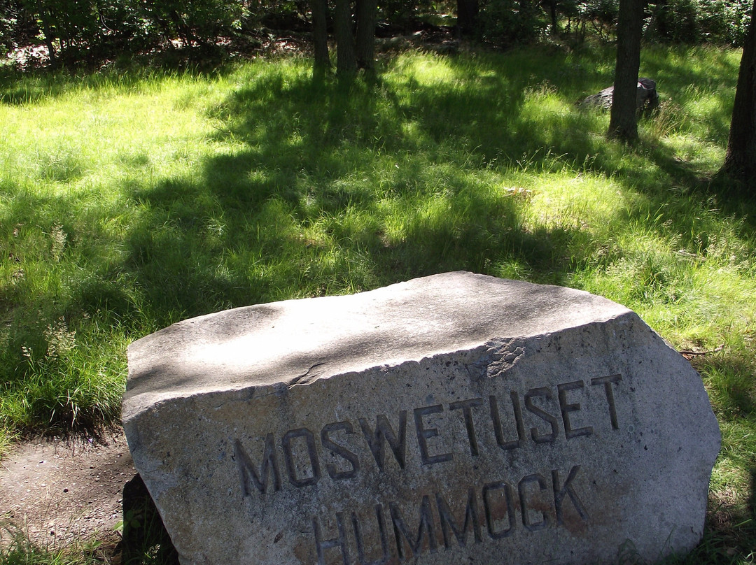 The Moswetuset Hummock-昆西必去景点