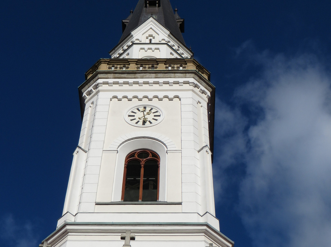 The Virgin Mary's Assumption Church-Celje必去景点