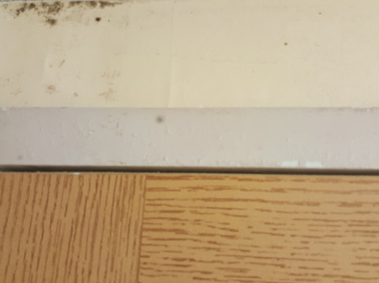 Med City Inn & Suites主图