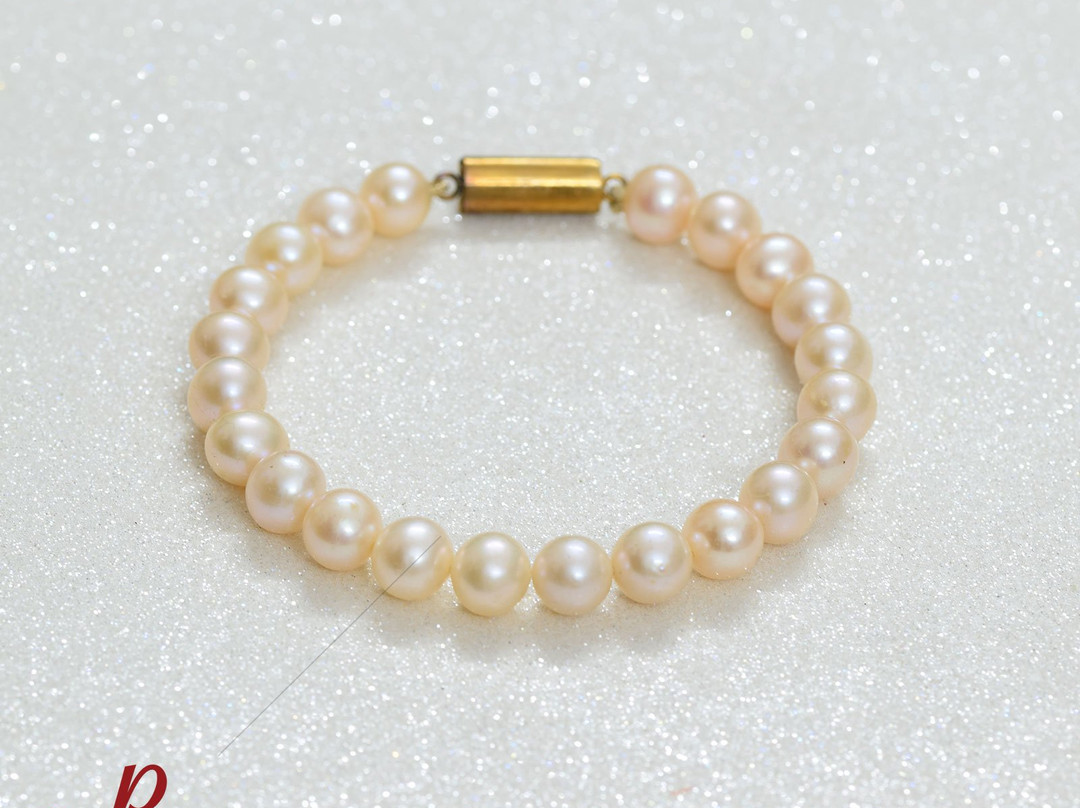 Pure Pearls-金奈（马德拉斯）必去景点