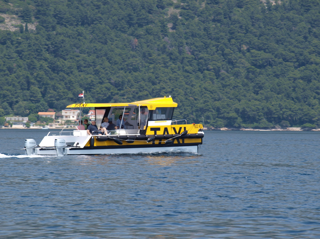 Korcula Water Taxi景点图片