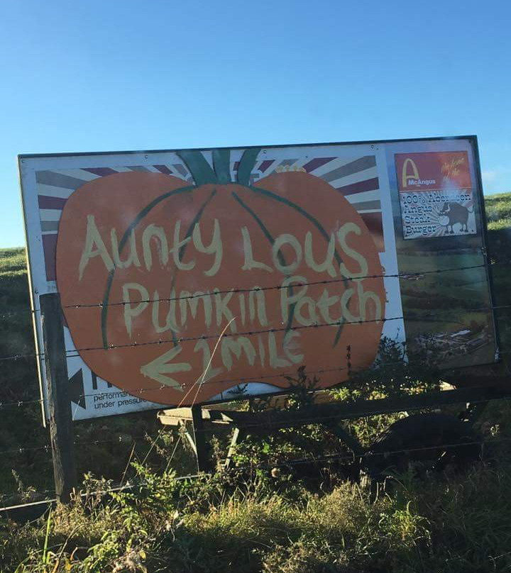Aunty Lous Soft Play and Cafe