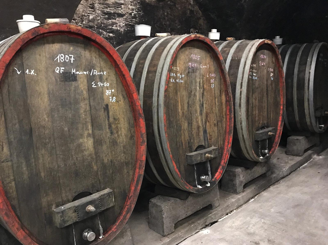 Rheinbollen旅游景点-Weingut Dr. Randolf Kauer