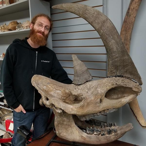 Prehistoria Museum-多伦多必去景点