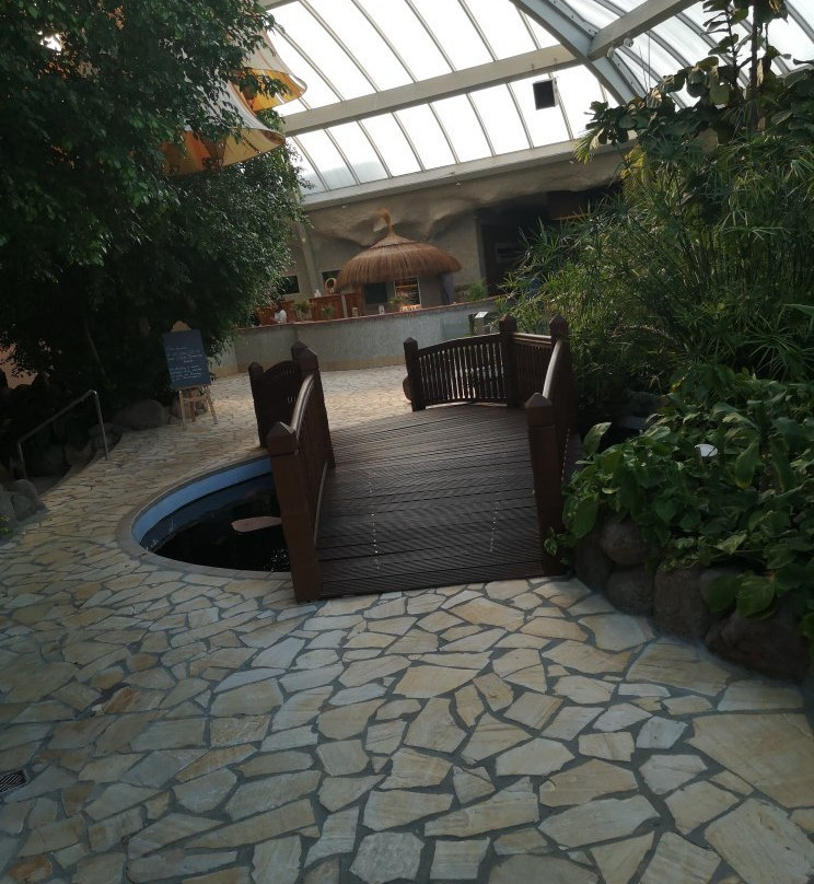 Medi Therme Ruhrpark景点图片