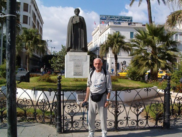 Monument to Ibn Khaldoun景点图片