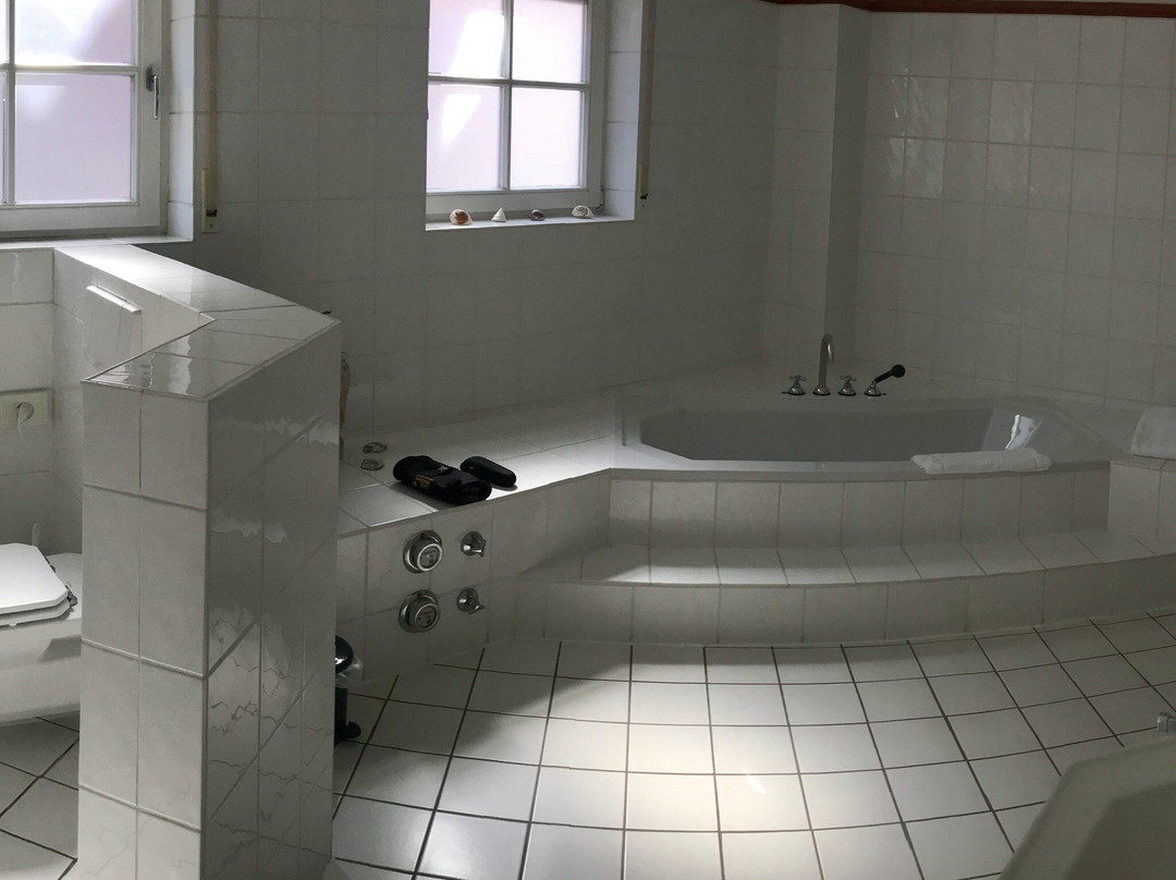 Hotel Ottheinrich Weinheim主图