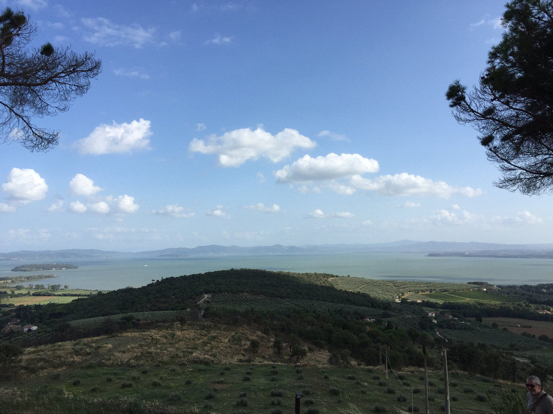 Tuoro sul Trasimeno旅游景点-Castello di Montegualandro