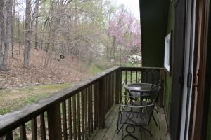 小黑熊旅馆主图