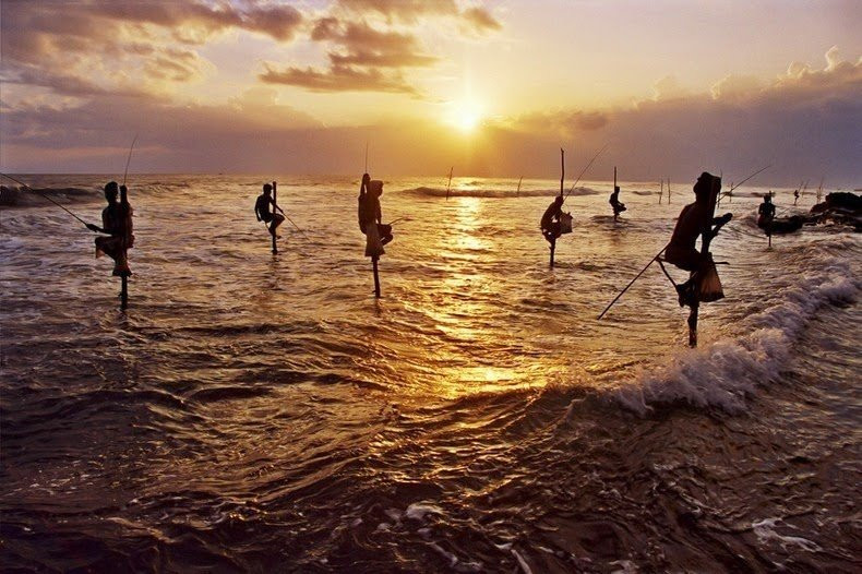 Stilt Fishermen Sri Lanka景点图片