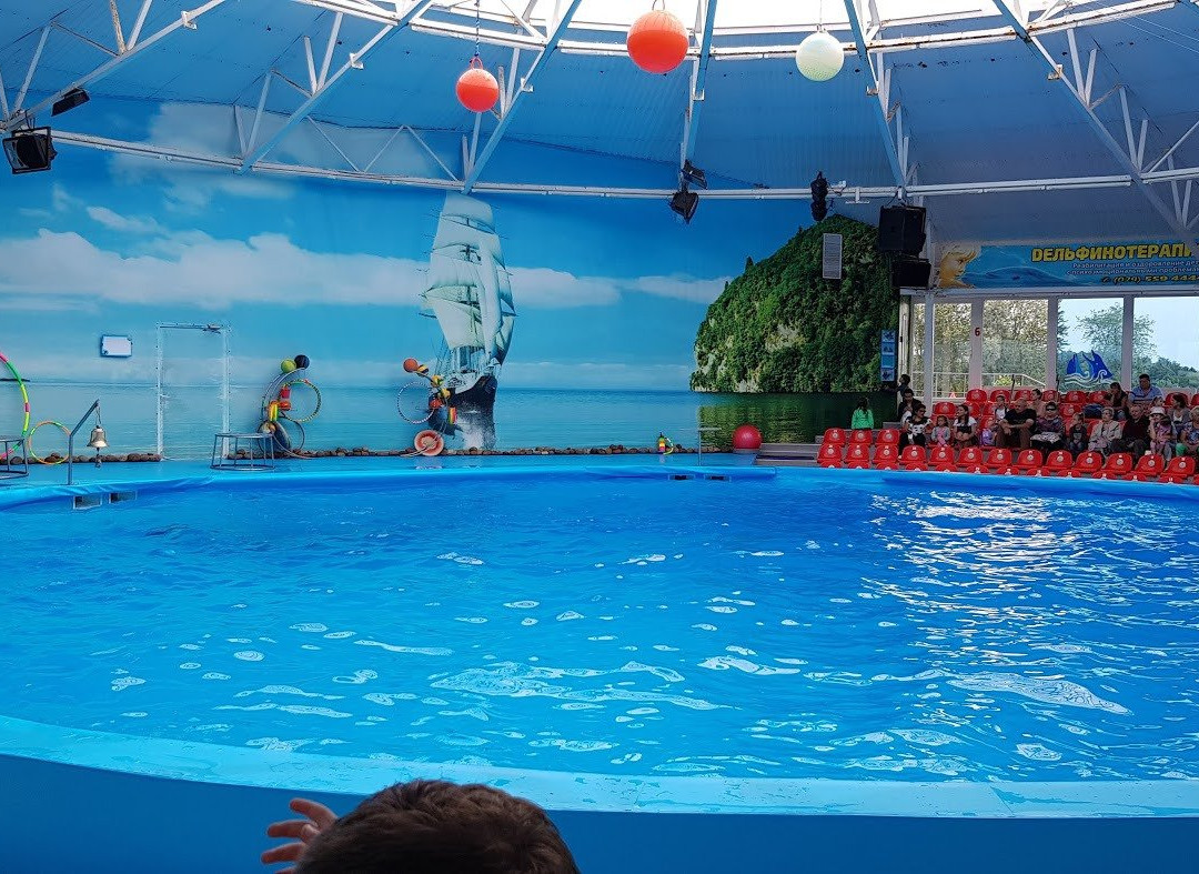 Minsk Dolphinarium Nemo-明斯克必去景点