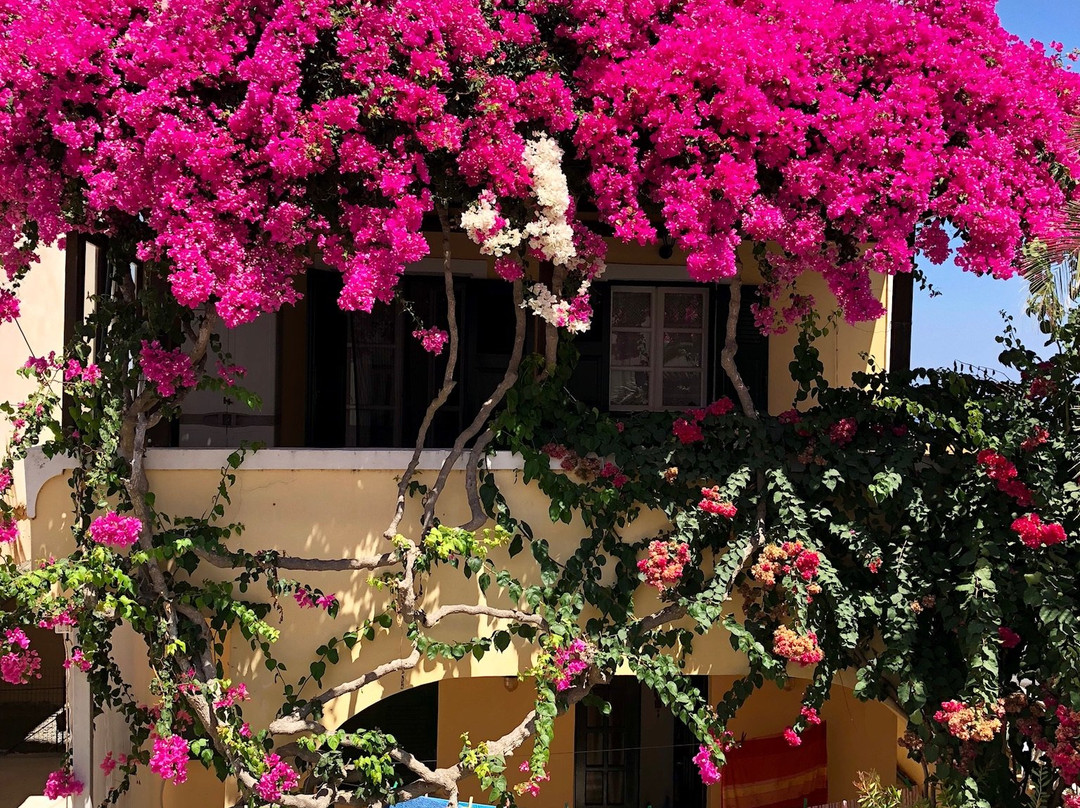 Moto Center Loukas-费拉必去景点