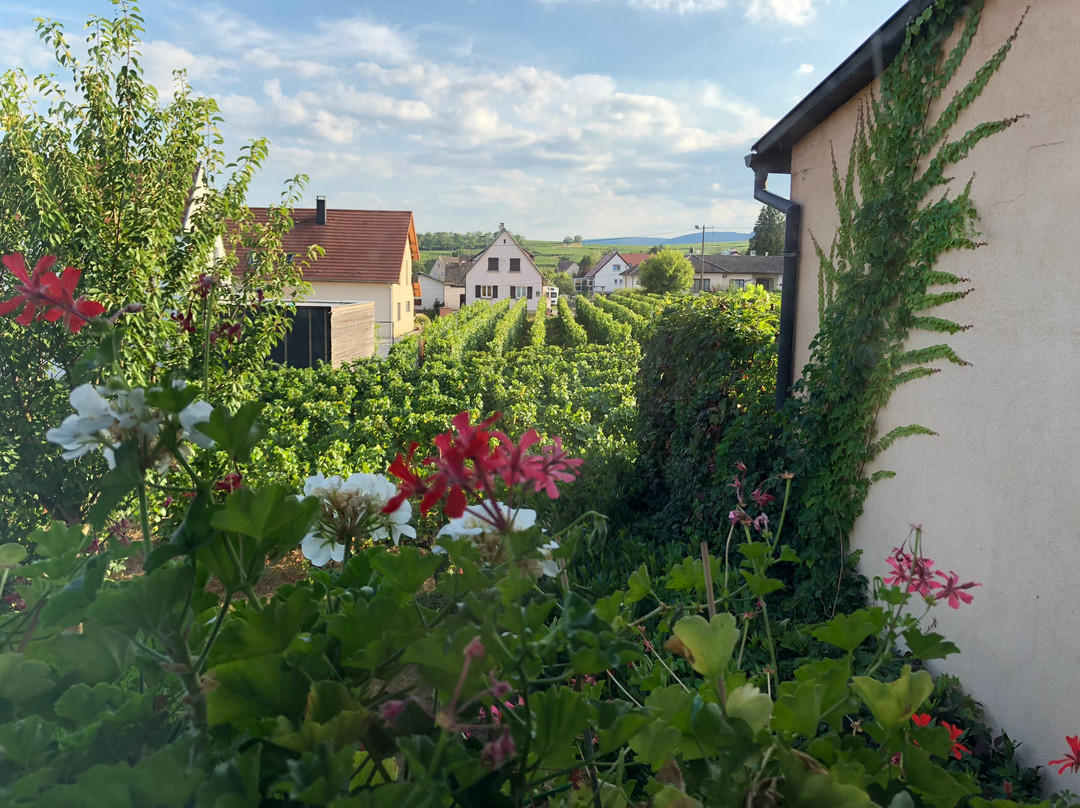 James Vignoble Hôtel主图