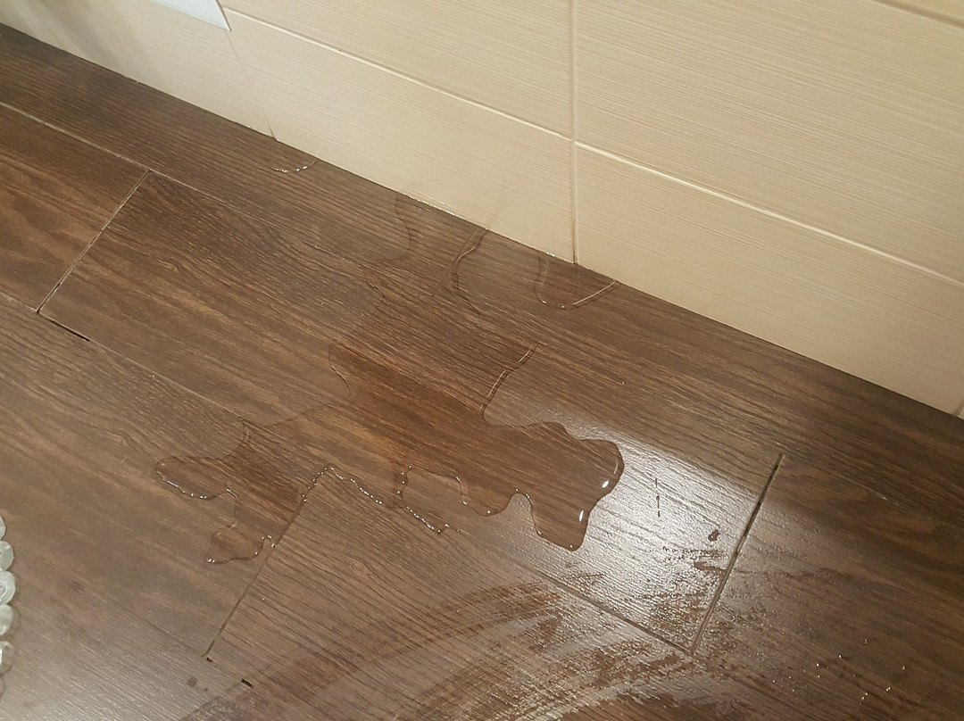 克拉斯诺达尔希尔顿花园酒店主图