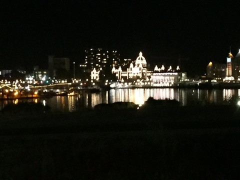 Johnson Street Bridge-维多利亚必去景点