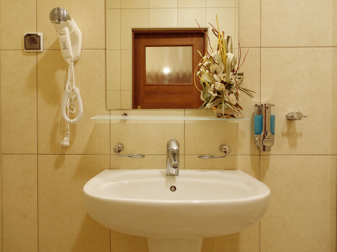 Hotel Srebrna Góra主图