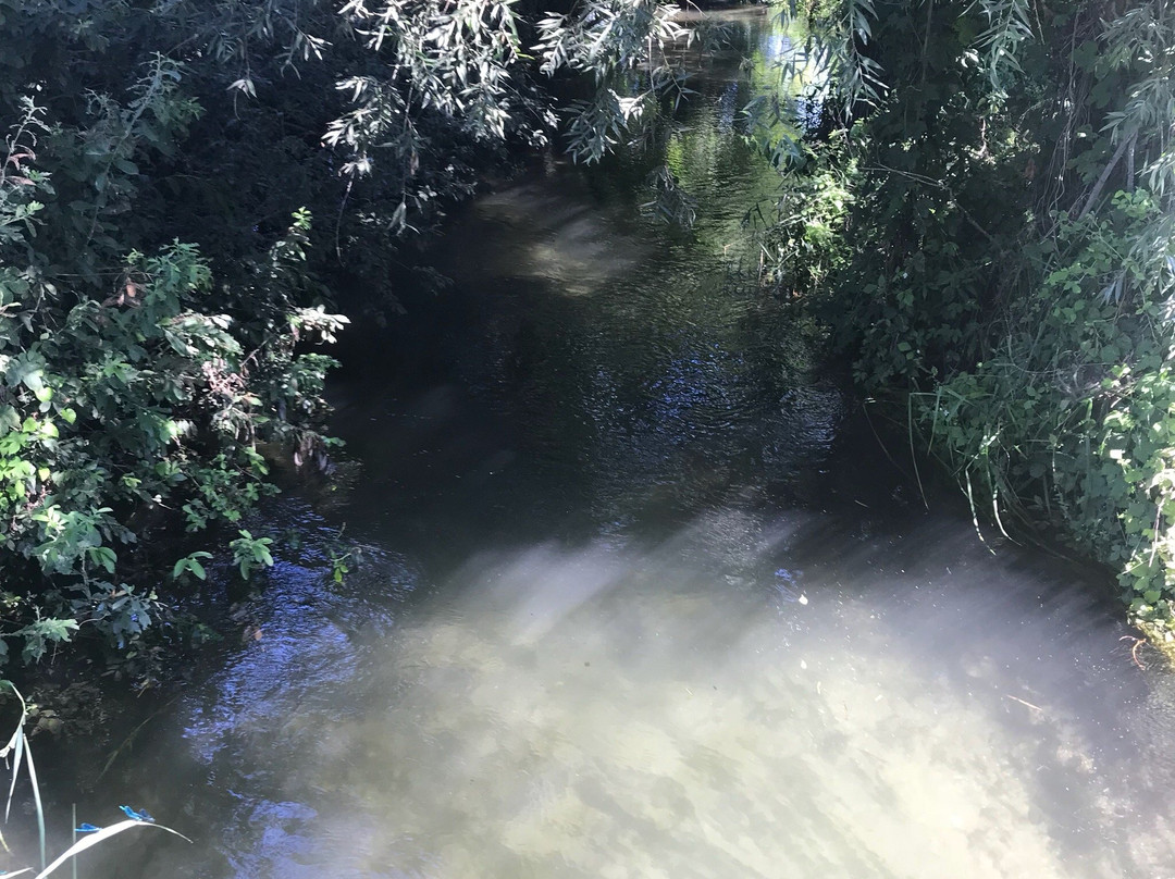 Centro Ippico Duca Dell'Adua-Robecco sul Naviglio必去景点