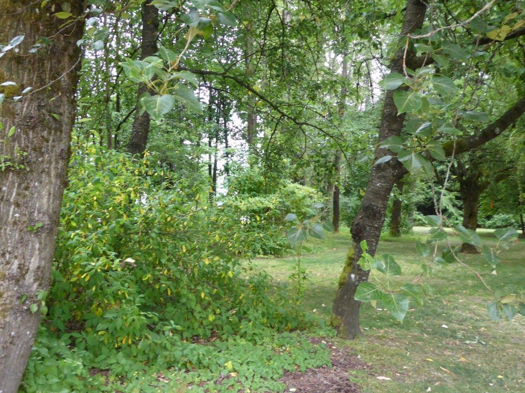 Pioneer Memorial Park-穆迪港必去景点