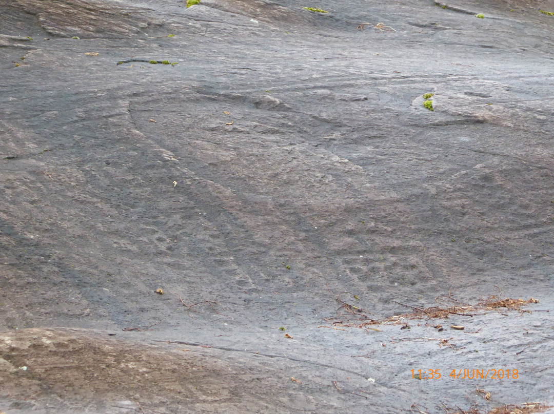 Parco Archeologico Comunale di Seradina-Bedolina景点图片