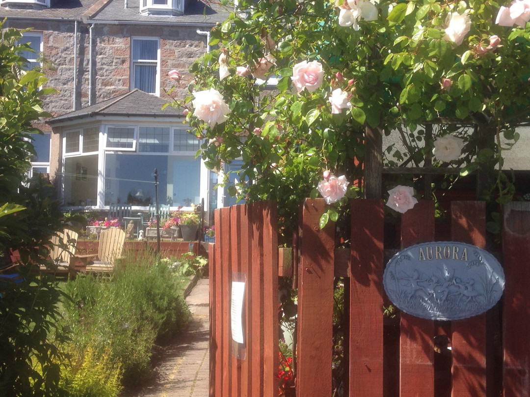 Aurora Guest House