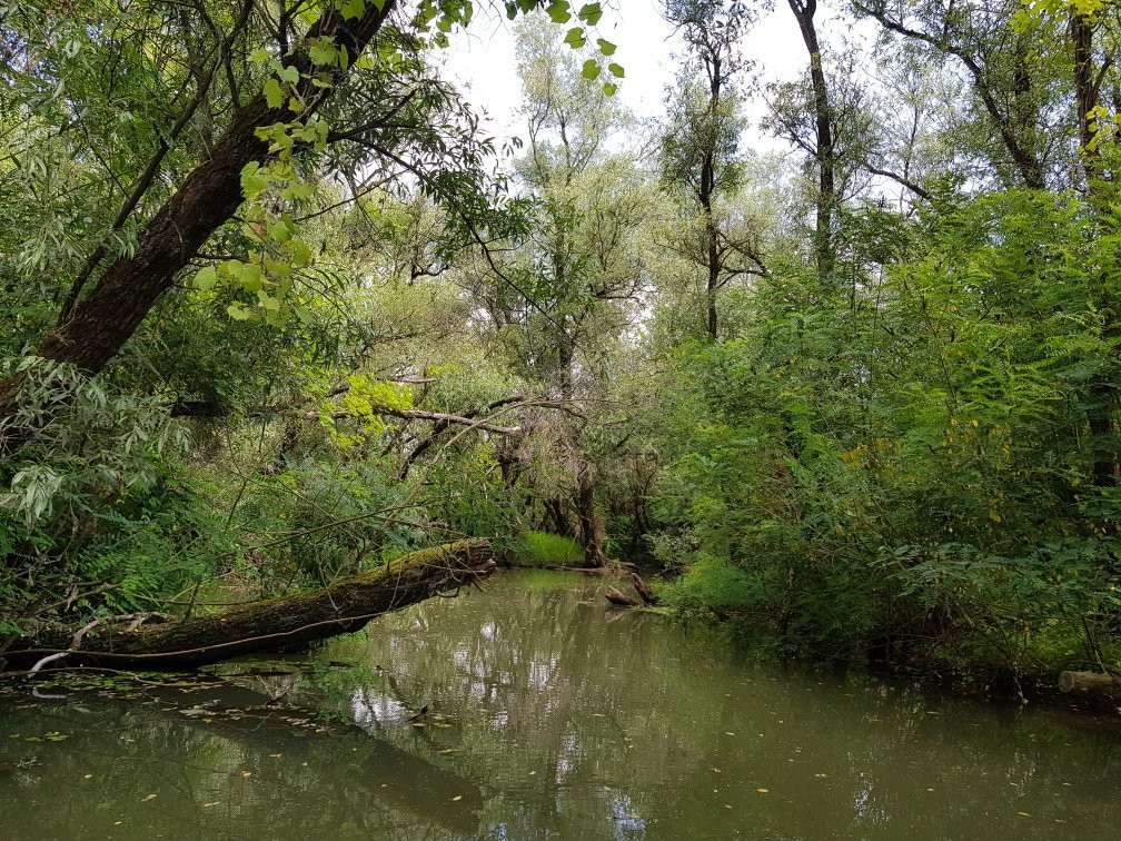 Szabics port and Szabadidőpart-Tiszafured必去景点