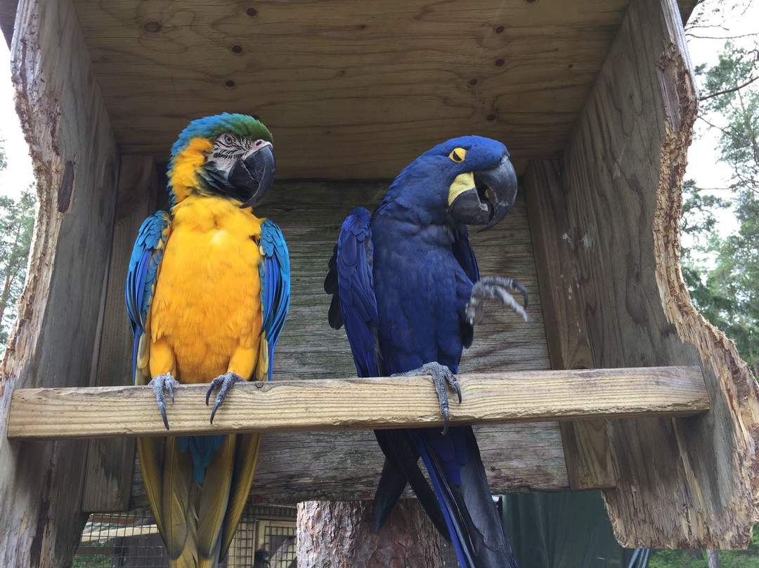 Lomamäki Petting Zoo-Inkoo必去景点