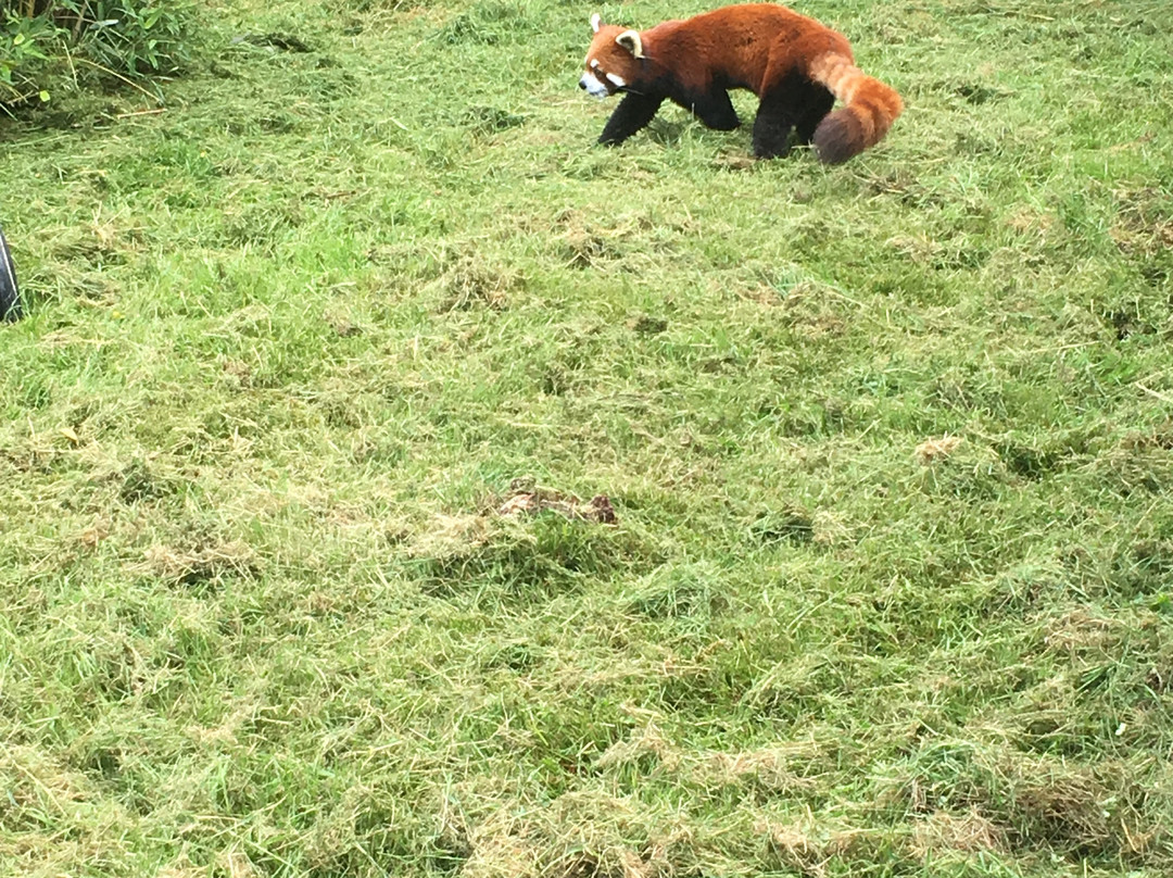 Greater Vancouver Zoo景点图片