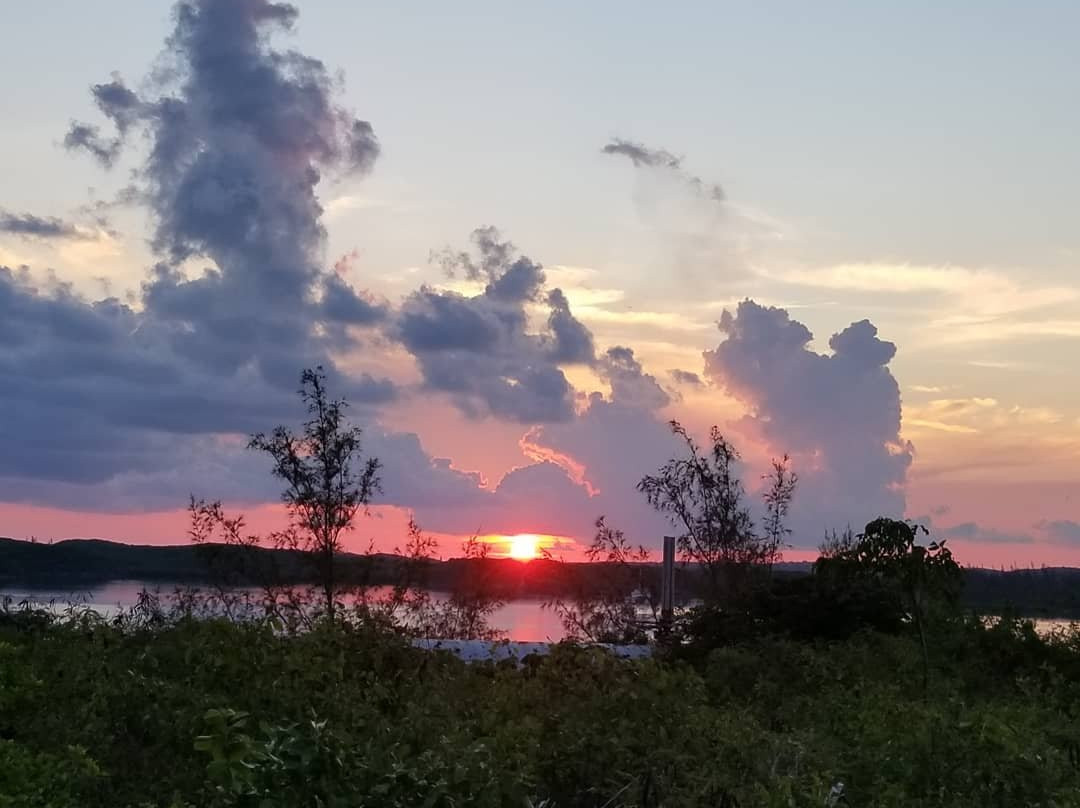 Gregory Town餐馆和美食-Twin Brothers